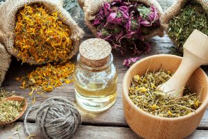 گیاهان دارویی