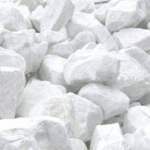 350x350xarticle_57700_5dda5f2d12a04.jpg.pagespeed.ic.RHfLp6kDZ4